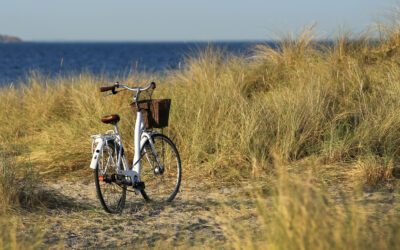 Quelles activités faire au camping et aux alentours ?