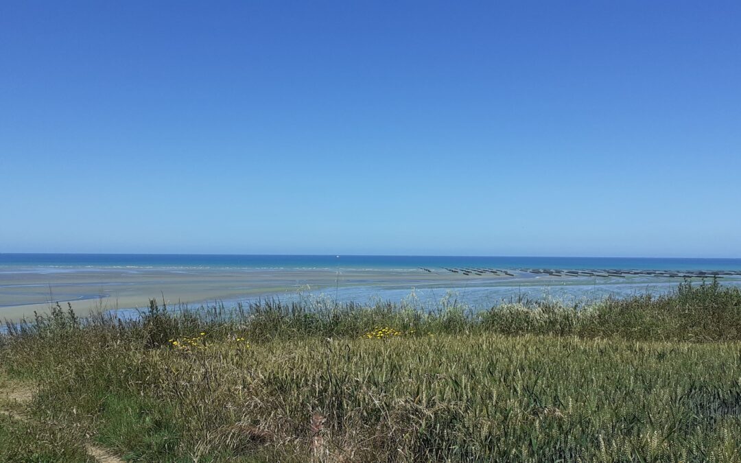 Comprendre les marées en baie de Saint-Brieuc : un phénomène naturel